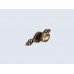 Vitrīna KORA KRW1, priede andersen