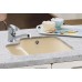 Virtuves Izlietne Cisterna 60B,44cmx54.5cm